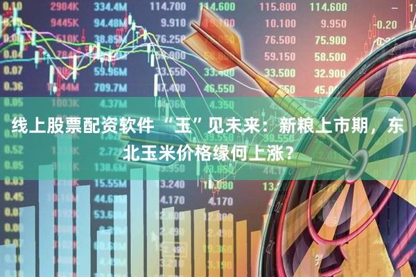 线上股票配资软件 “玉”见未来：新粮上市期，东北玉米价格缘何上涨？